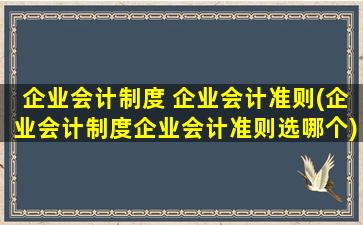 企业会计制度 企业会计准则(企业会计制度企业会计准则选哪个)